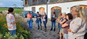 Kräuterwanderung mit Andrea Illguth am 29. Juni 2022